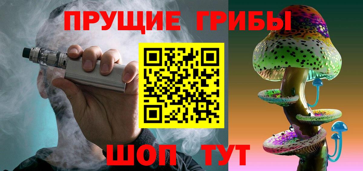 Псилоцибиновые грибы GOLDEN TEACHER  Вход с VPN  купить закладку  Чернушка 