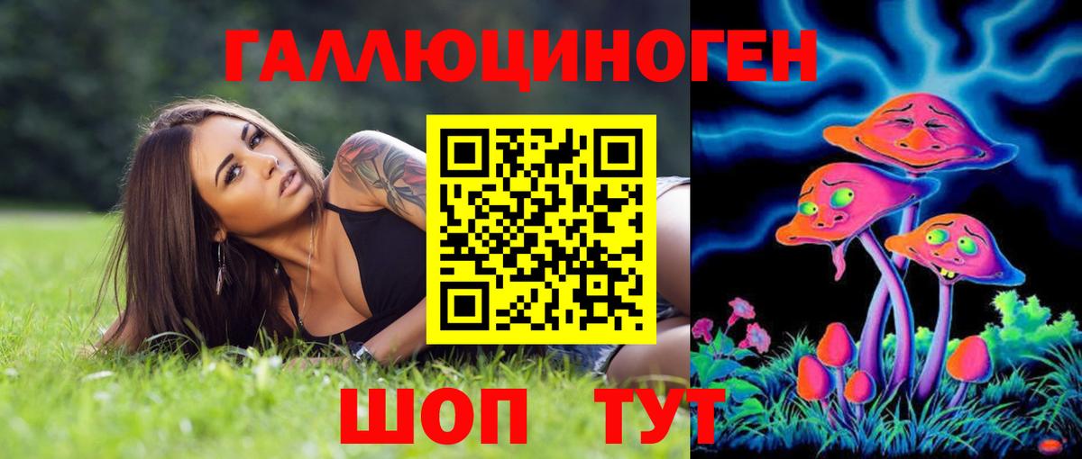 Галлюциногенные грибы Psilocybe Чернушка